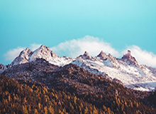 8868体育官网开启智慧下注的新纪元