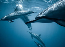 九游体育官方网站-【直播】咖哥和369世纪大和解，两人相视一笑互相拥抱