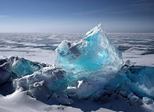 8868体育官网开启智慧下注的新纪元